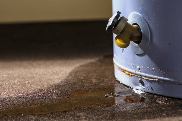 Best Water damage cleanup near me  in Youngsville, PA