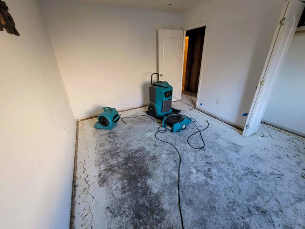 Best Fire Damage Restoration  in Youngsville, PA