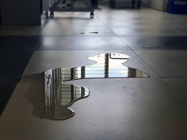 Best 24/7 water damage repair  in Youngsville, PA