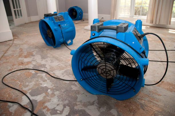 Best Carpet water damage restoration  in Youngsville, PA