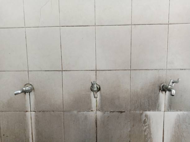 Best Water damage contractors near me  in Youngsville, PA