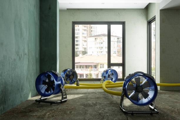  Youngsville, PA Water damage restoration Pros